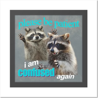 please be patient, i am confused again - funny raccoon Posters and Art